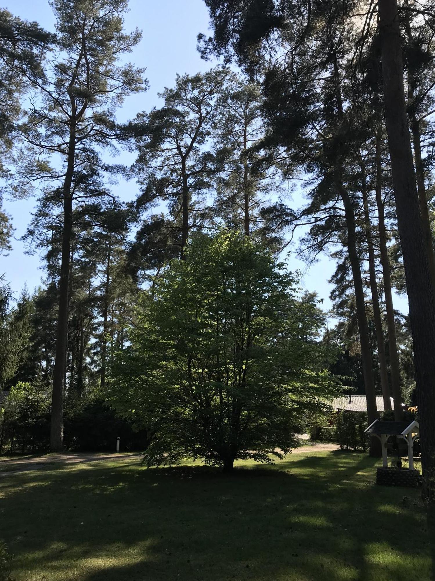 Вилла Nordic Relax House - Woodhouse Sjobo Экстерьер фото